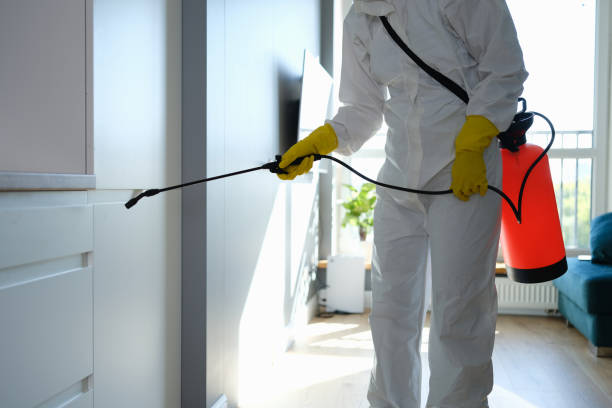 Best HVAC Mold Remediation in White Bear Lake, MN
